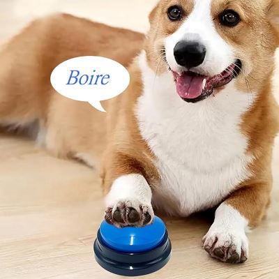 Jouet Interactif pour Chien - ChienParlant™ - Bleu Royal - Amusement chien