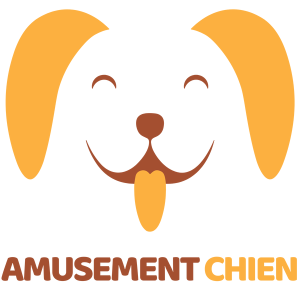Amusement chien