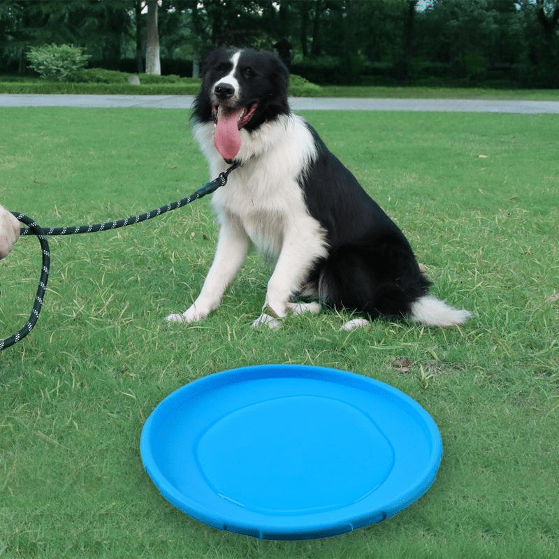 Frisbee Chien - FlyingDiscToys™ - Bleu - Amusement chien