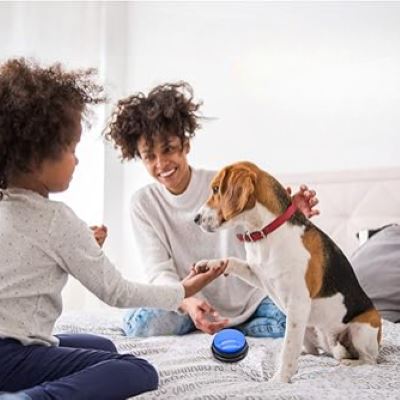 Jouet Interactif pour Chien - ChienParlant™ - Bleu Royal - Amusement chien