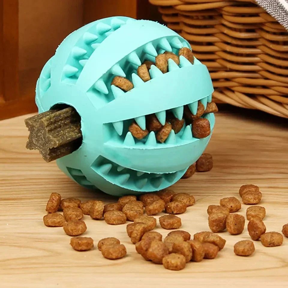 Jouet pour Chien - DogToyBall™ - Cyan - Amusement chien