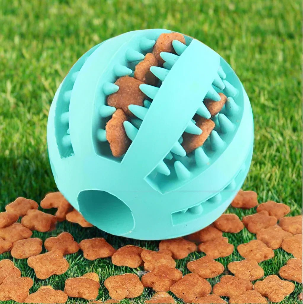 Jouet pour Chien - DogToyBall™ - Cyan - Amusement chien