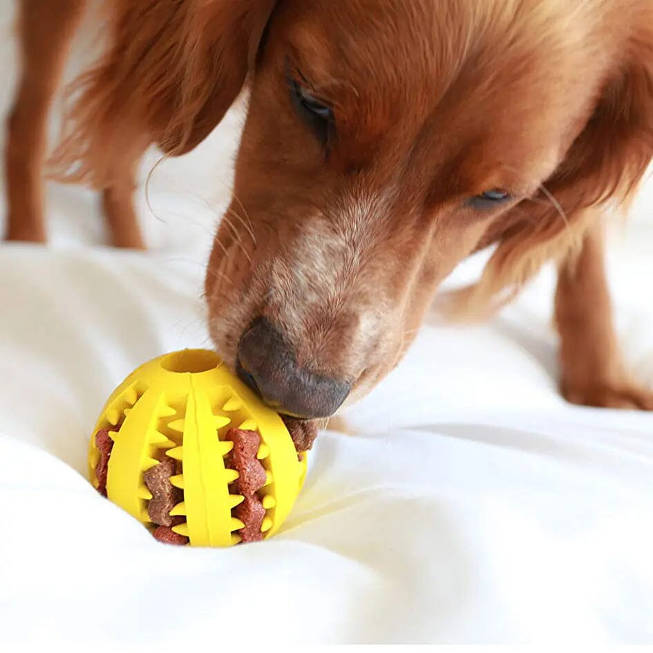 Jouet pour Chien - DogToyBall™ - Jaune - Amusement chien